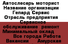 Автослесарь-моторист › Название организации ­ Гепард-Сервис › Отрасль предприятия ­ Сервисное обслуживание, ремонт › Минимальный оклад ­ 80 000 - Все города Работа » Вакансии   . Амурская обл.